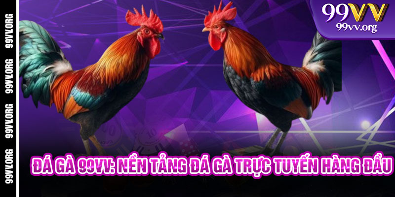 Đá Gà 99VV: Nền Tảng Đá Gà Trực Tuyến Hàng Đầu