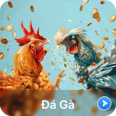 dr88 da ga